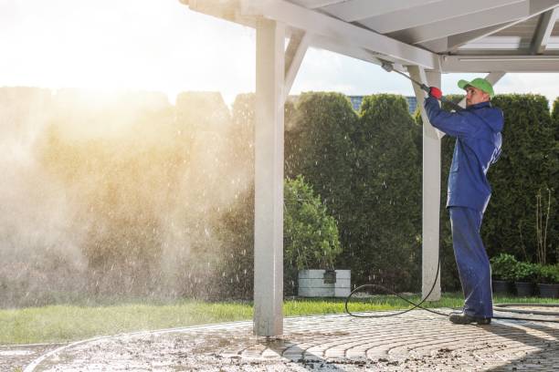 Best Driveway Pressure Washing  in Clendon, AR